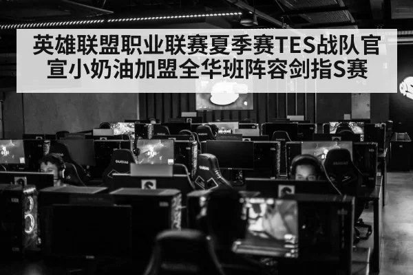 英雄联盟职业联赛夏季赛TES战队官宣小奶油加盟全华班阵容剑指S赛