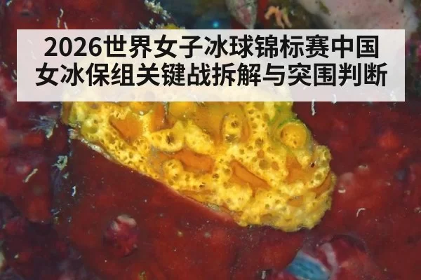 2026世界女子冰球锦标赛中国女冰保组关键战拆解与突围判断
